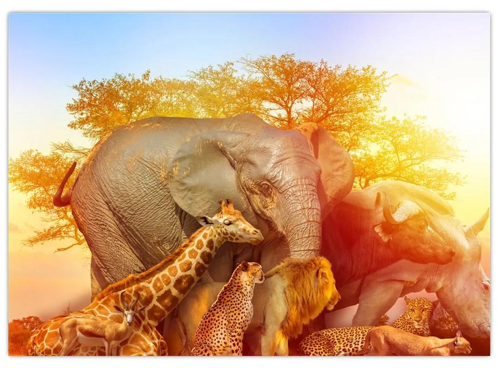 Sklenený obraz afrických zvieratiek (70x50 cm)