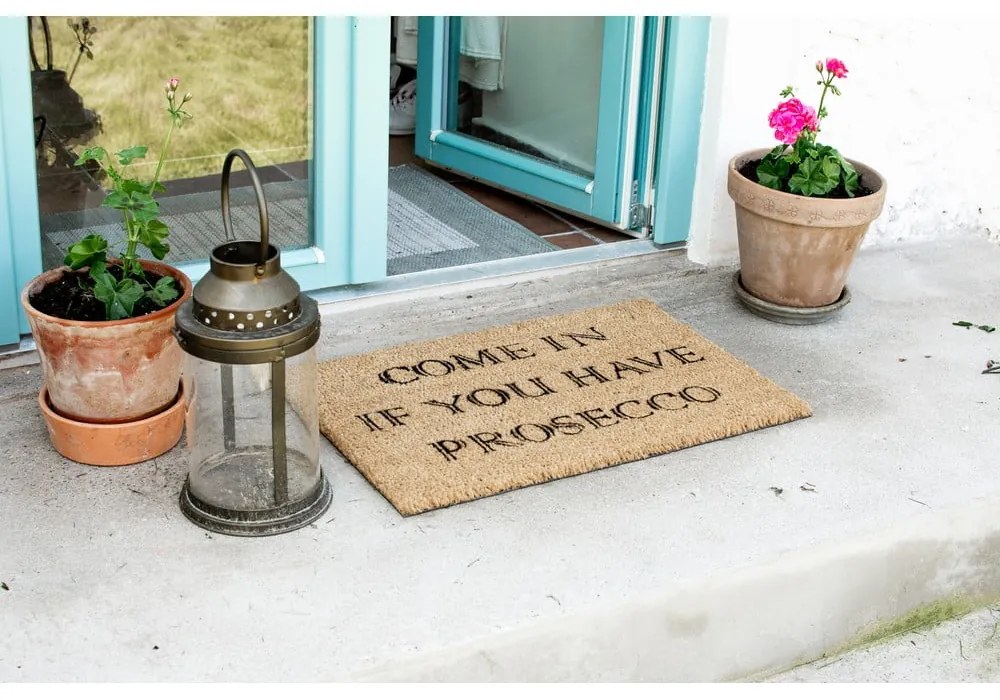 Rohožka z prírodného kokosového vlákna Artsy Doormats Prosecco, 40 x 60 cm