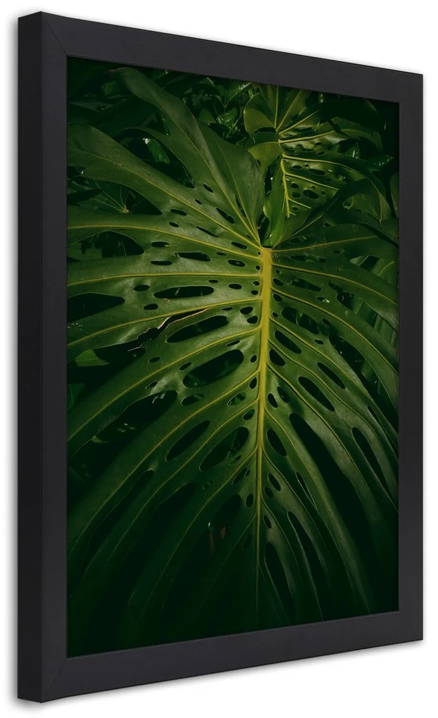 Gario Plagát Monstera - list z prírody Farba rámu: Bez rámu, Rozmery: 70 x 100 cm