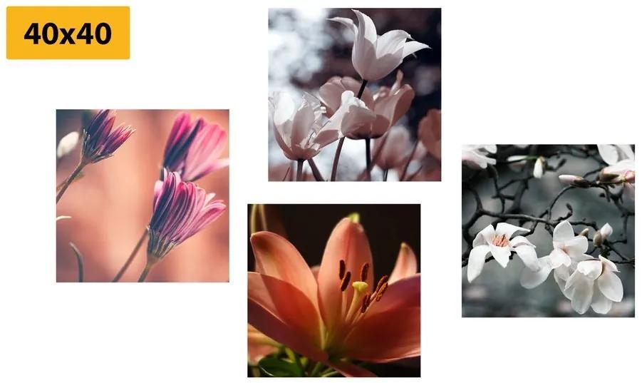 Set obrazov nežnosť kvetov - 4x 40x40