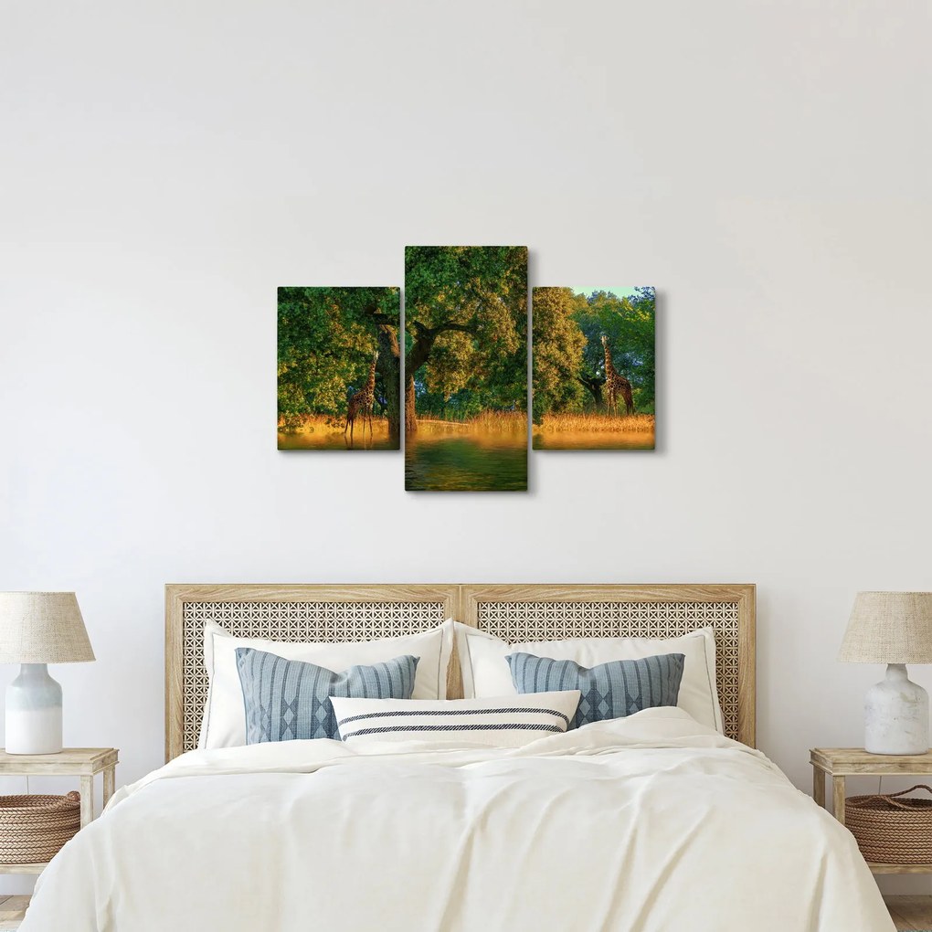 Obraz žirafy v prírode (90x60 cm)