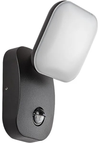 Rabalux 77058-LED Vonkajšie nástenné svietidlo so senzorom ODIEL LED/12W/230V IP44