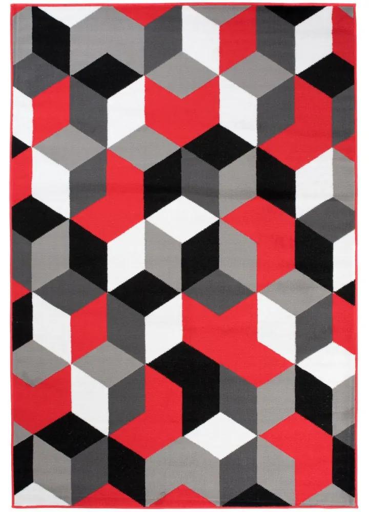 Kusový koberec PP Elma šedočervený 160x220cm