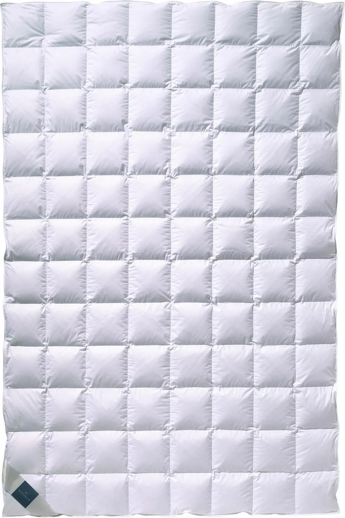 XXXLutz LETNÁ PRIKRÝVKA, 140/200 cm, páperie Billerbeck - Prikrývky & vankúše - 003279006401