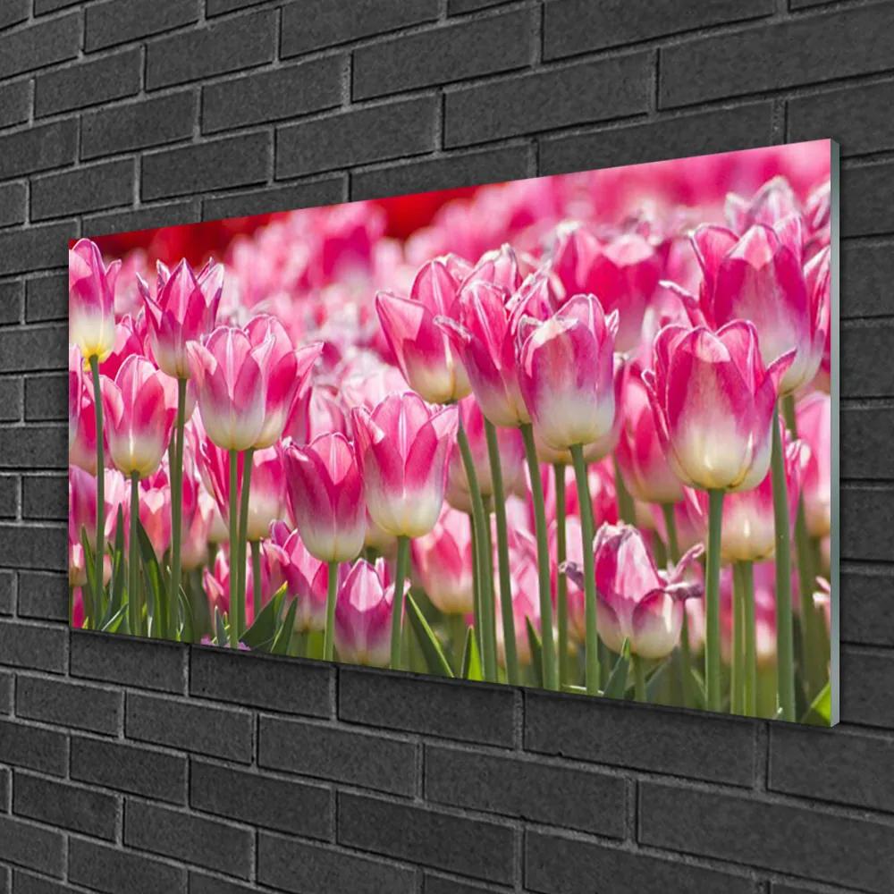 Skleneny obraz Tulipány kvety príroda 125x50 cm