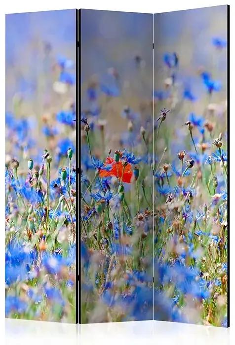 Paraván - A sky-colored meadow - cornflowers [Room Dividers] Veľkosť: 135x172, Verzia: Akustický