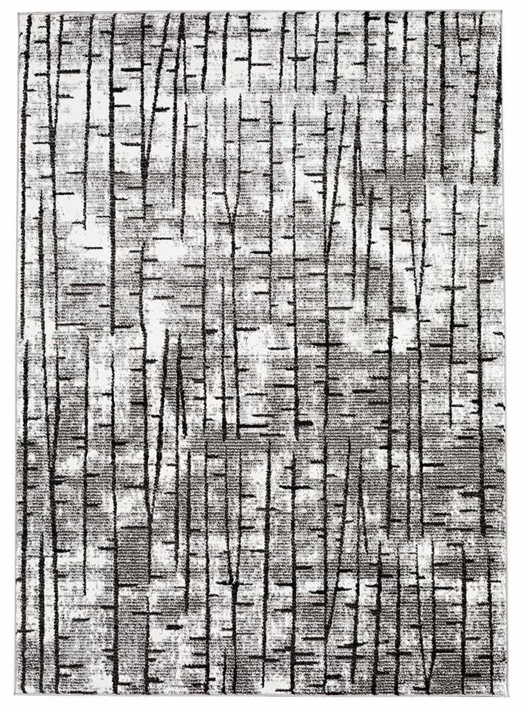 Dekorstudio Moderný koberec MODA SOFT sivý 1139 Rozmer koberca: 190x280cm