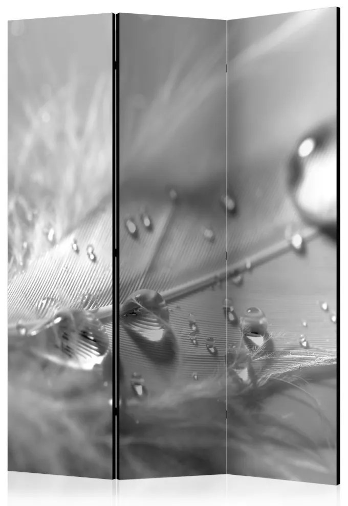 Artgeist Paraván - Grey Feather [Room Dividers]