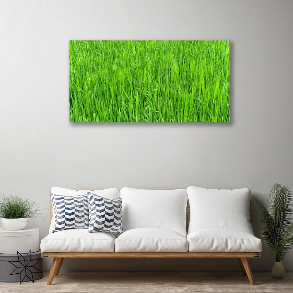 Obraz Canvas Zelená tráva príroda trávnik 100x50 cm