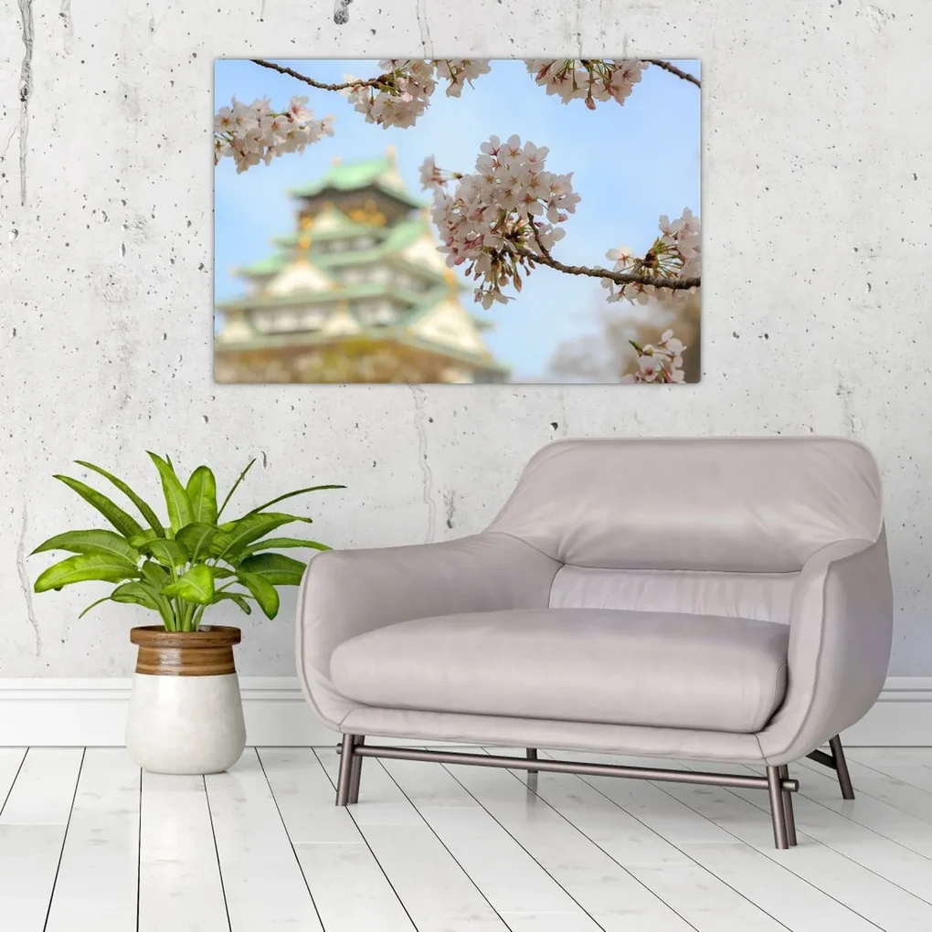 Obraz - Sakura (90x60 cm)