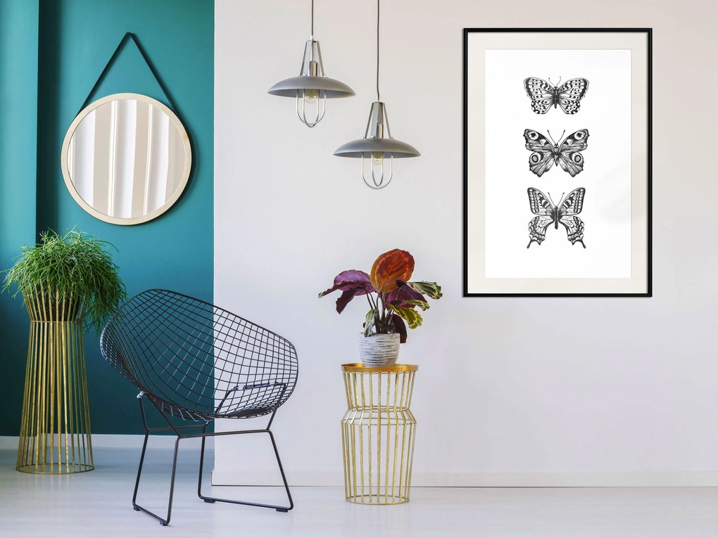 Artgeist Plagát - Three Butterflies [Poster] Veľkosť: 20x30, Verzia: Zlatý rám