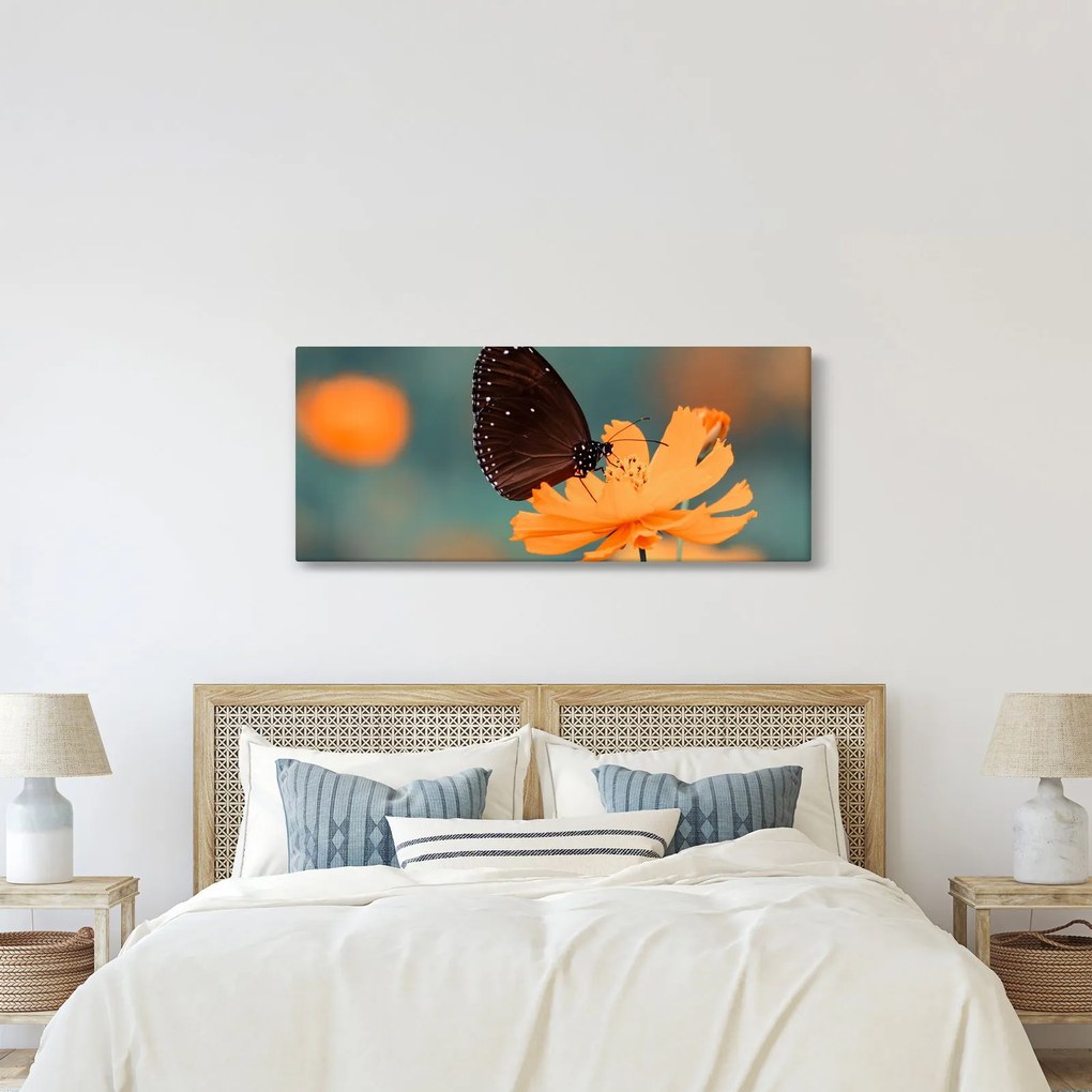Obraz - motýľ na oranžovom kvete (120x50 cm)