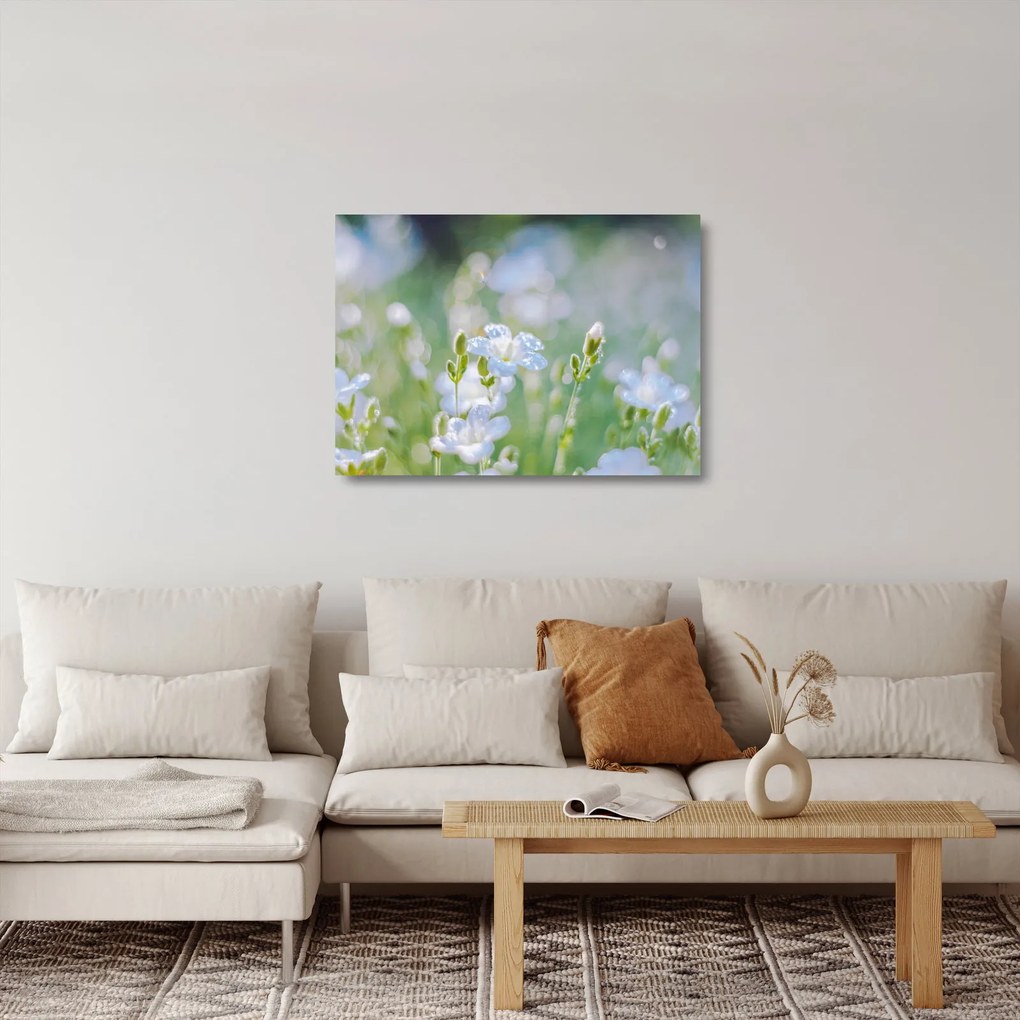 Sklenený obraz - Jemné kvety (70x50 cm)