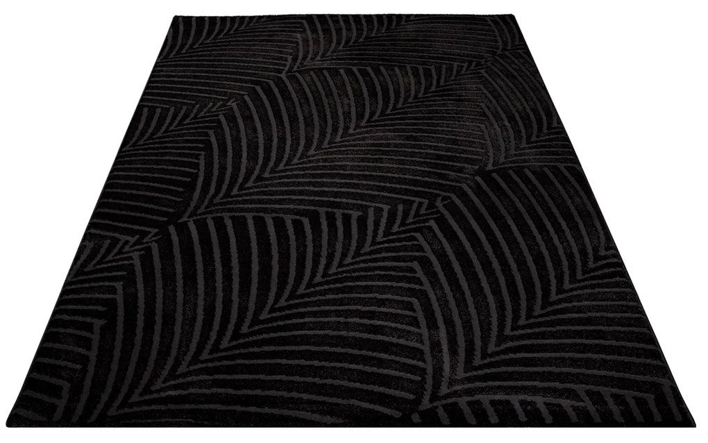 Dekorstudio Jednofarebný koberec FANCY 648 - čierny Rozmer koberca: 160x230cm