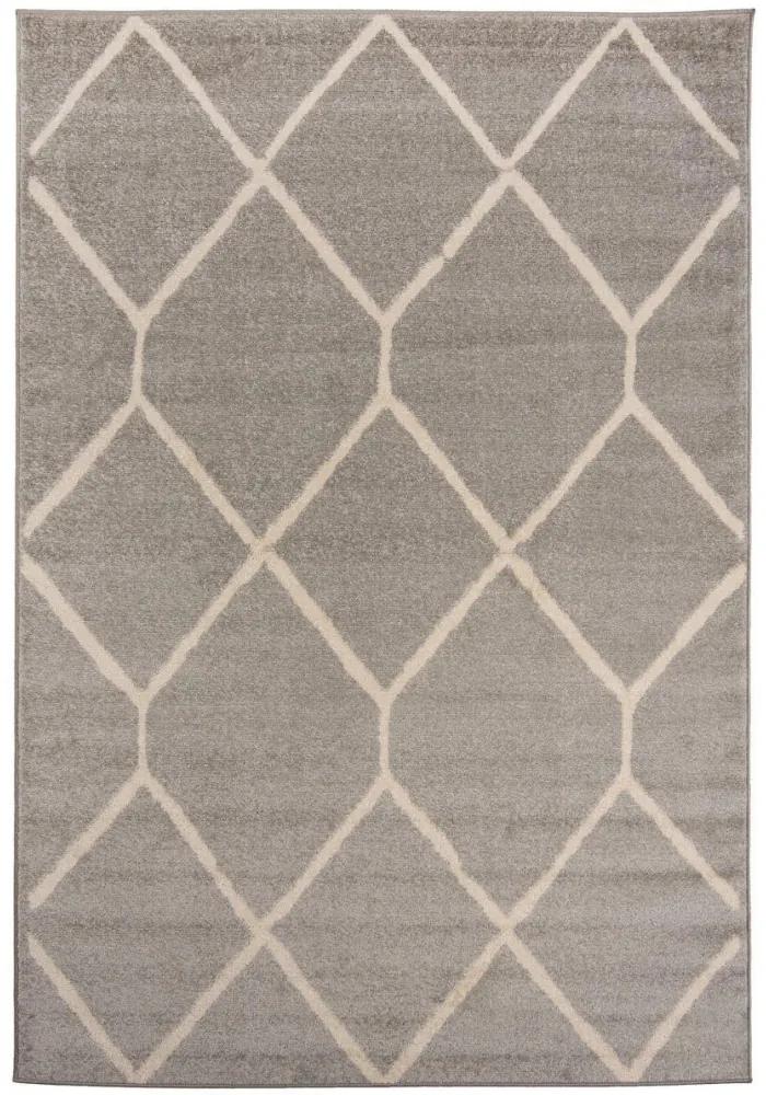 Kusový koberec Astan sivý 140x200cm