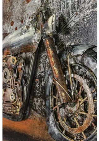 Kovový obraz 40x60 FAM0438