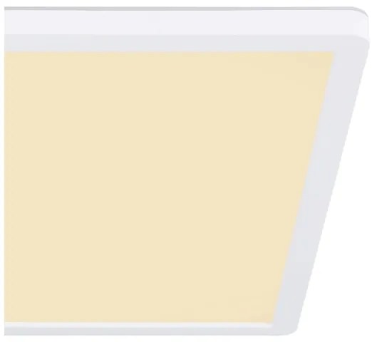 Globo 41563-18W - LED Kúpeľňové stropné svietidlo SAPANA LED/18W/230V IP44