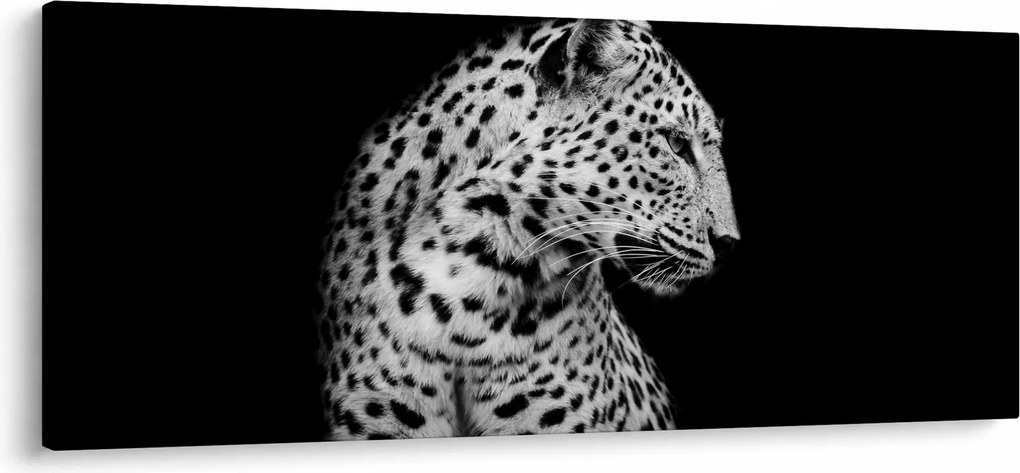 Obraz - Leopard (120x50 cm)