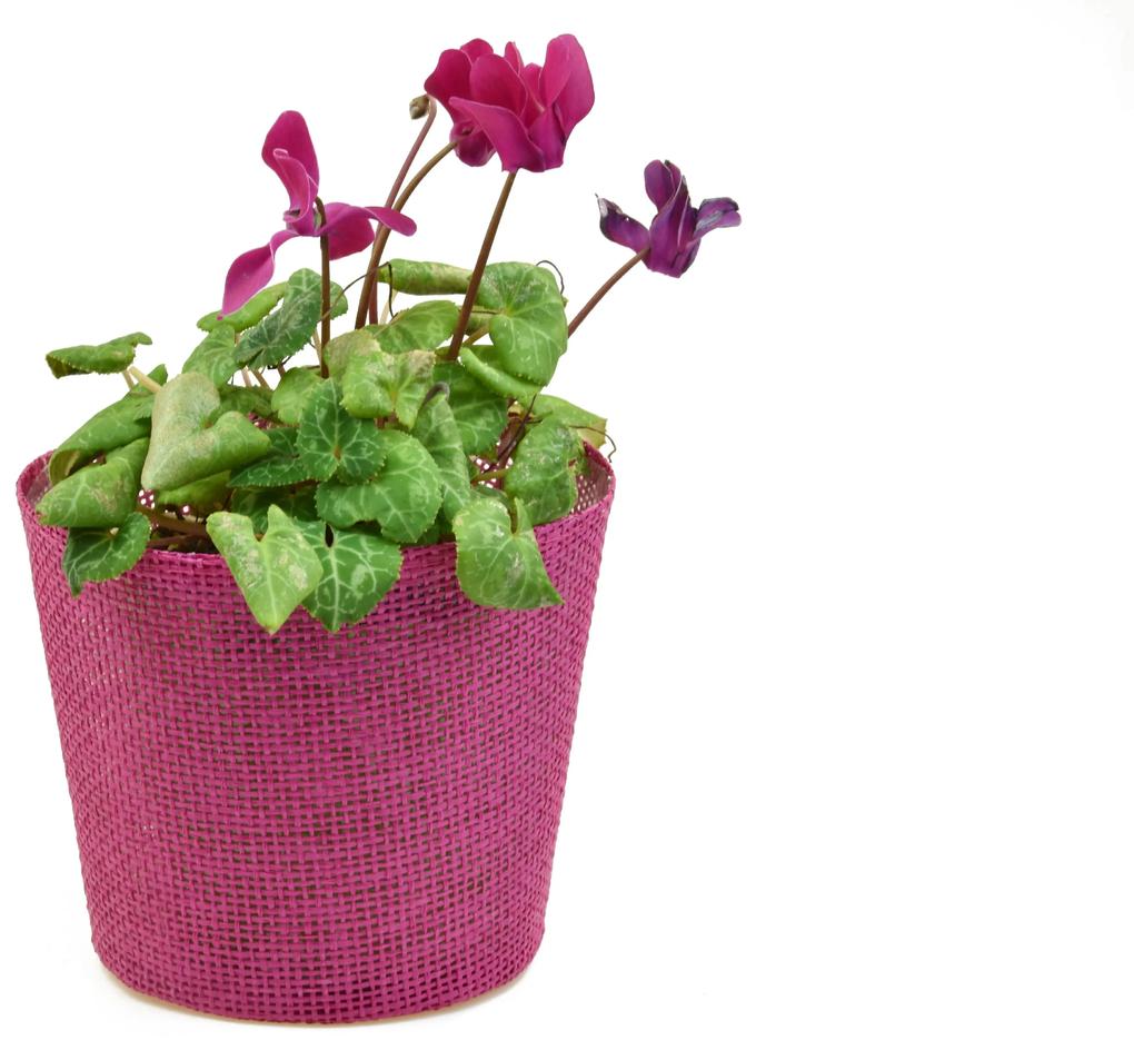 Květináč růžový s igelitovou vložkou - 15 x 13 cm