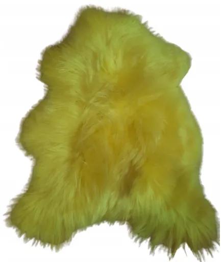 kožušina ovce Islandskej- žltá Veľkosť: 100-120cm x 60-70cm