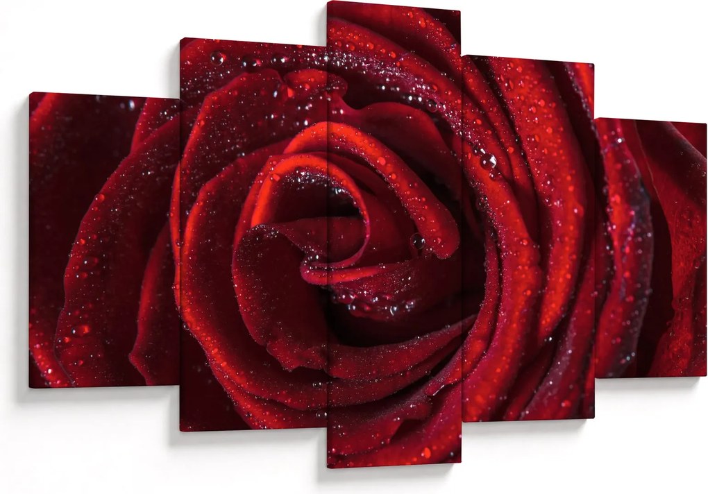 Obraz - Červená ruža s kvapkami rosy (150x105 cm)