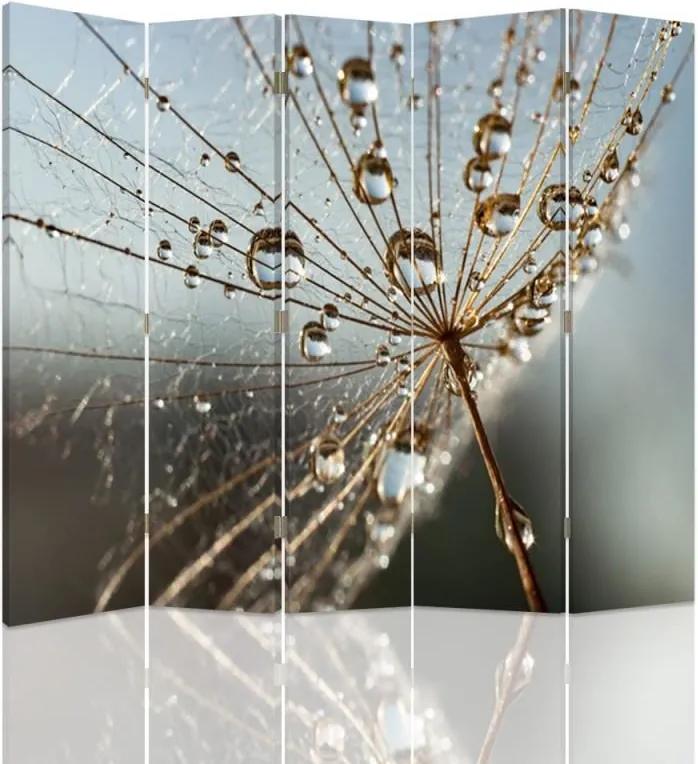 CARO Paraván - Dew Drops On The Plant | päťdielny | obojstranný 180x150 cm