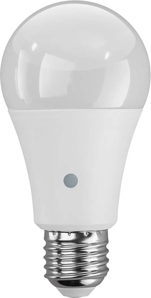 LIVARNOLUX® LED žiarovka (100266177)