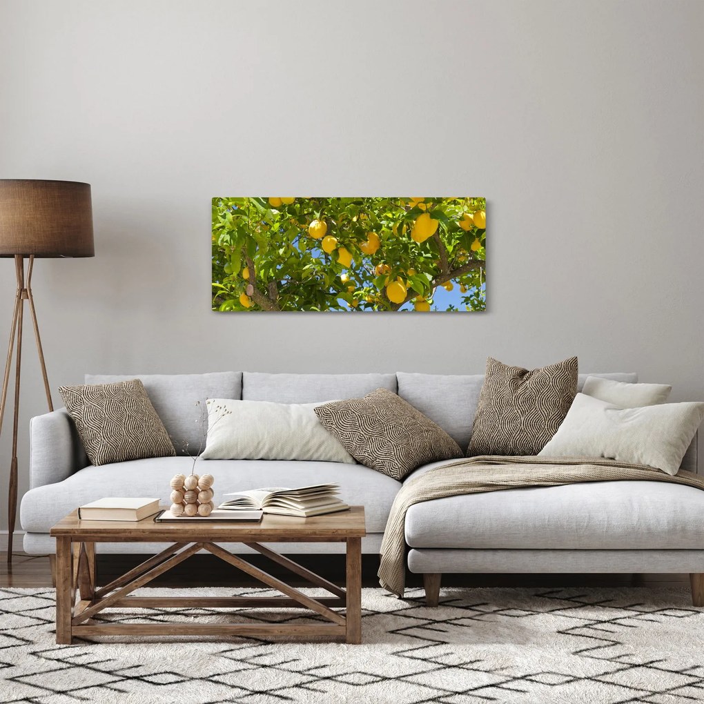 Obraz - Citrónovník (120x50 cm)