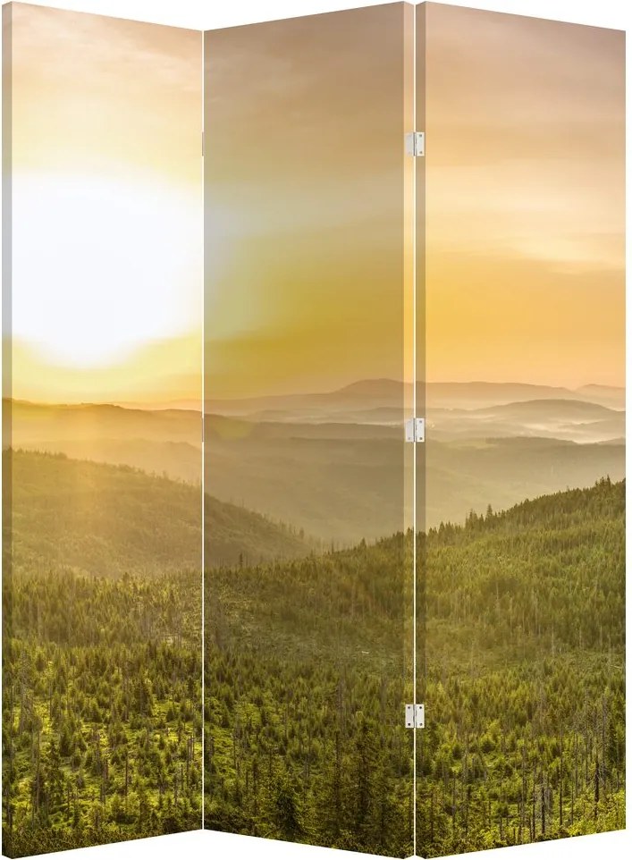 Paraván - Panorama (126x170 cm)