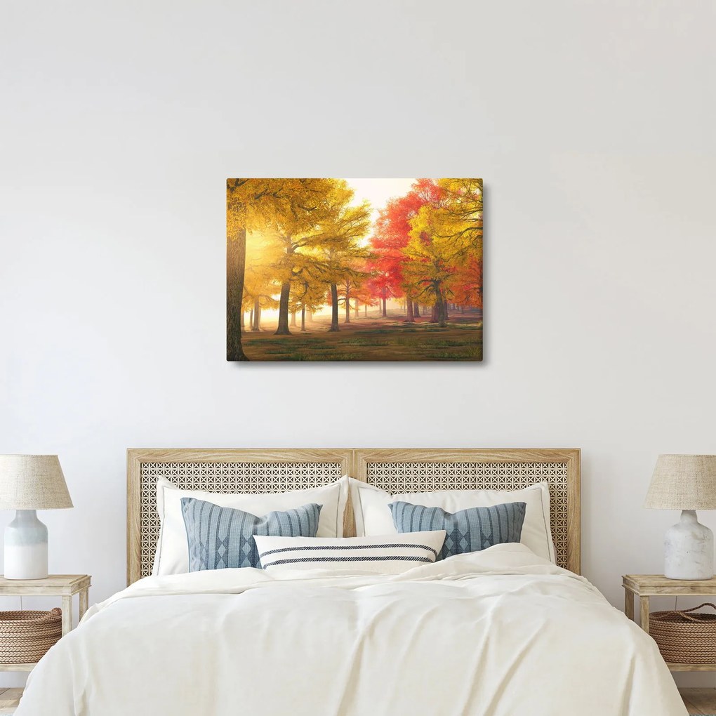 Obraz jesenných stromov (70x50 cm)