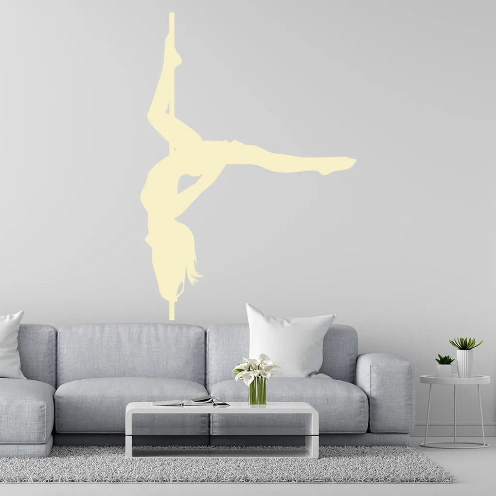 Veselá Stena Samolepka Pole dance Farba: šedá, Veľkosť: 80 x 56 cm