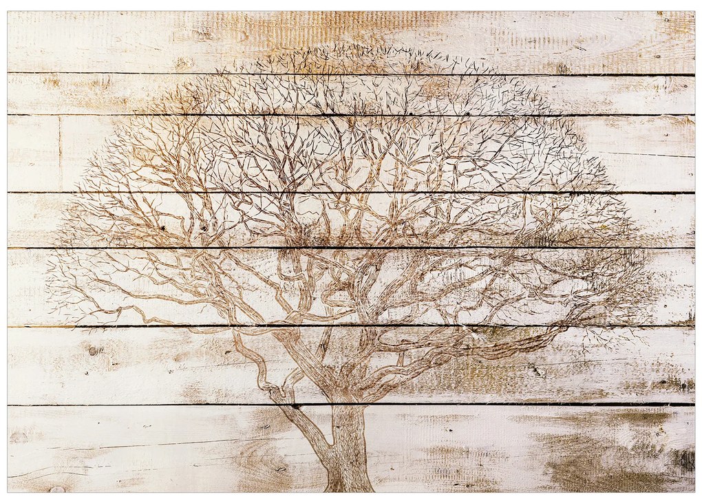 Artgeist Fototapeta - Tree on Boards Veľkosť: 100x70, Verzia: Standard