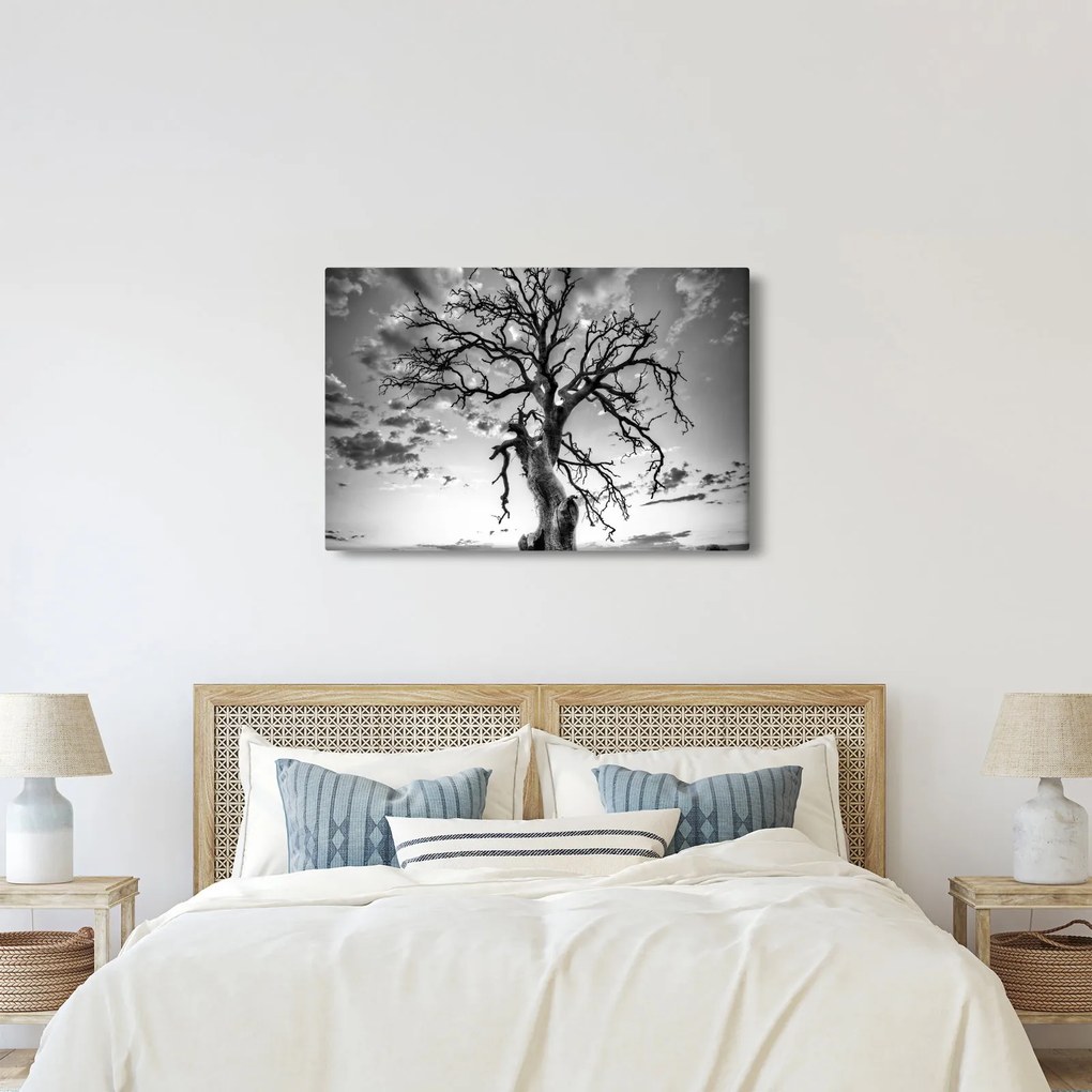 Obraz - Čiernobiely strom (90x60 cm)