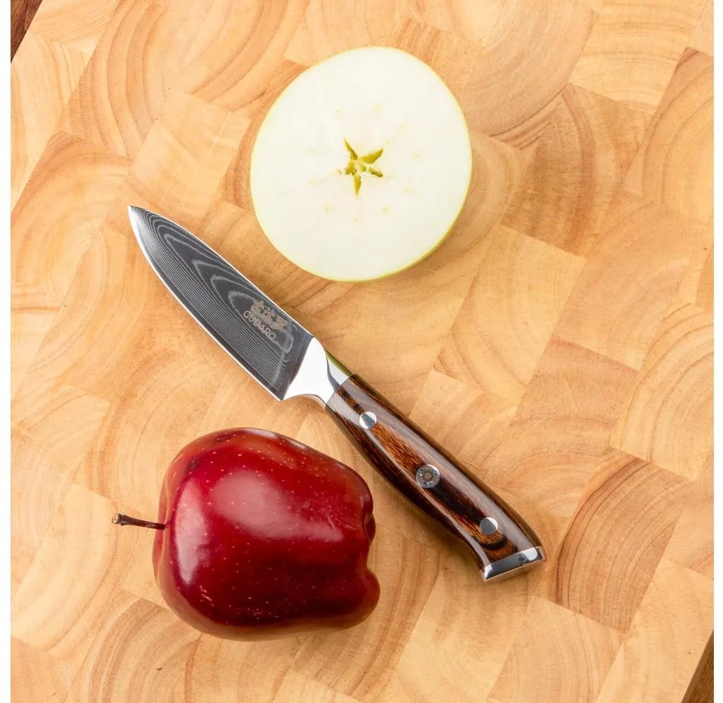 Gudaro - Damaskový kuchynský nôž FENG 3,5", 67 vrstiev ocele, dĺžka 9,5 cm