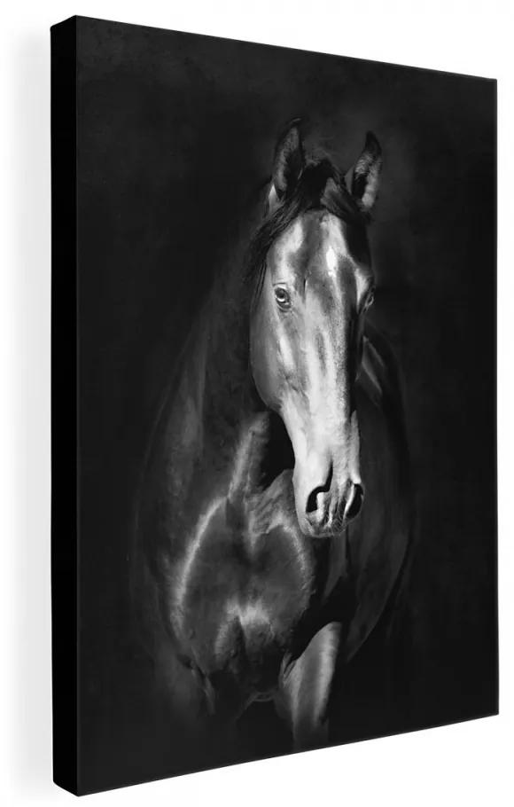 Obraz do obývačky na plátne s motívom koňa