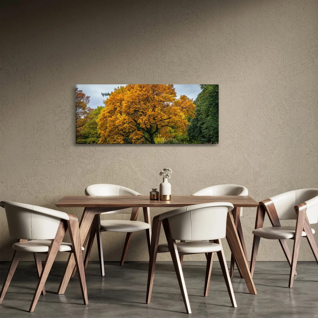 Obraz stromu (120x50 cm)