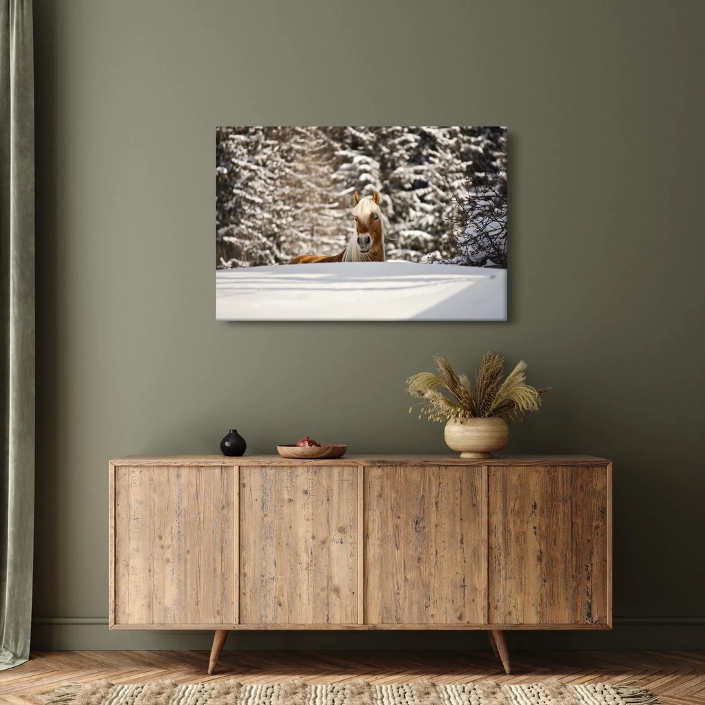 Obraz - Kôň v zimnej krajine (90x60 cm)