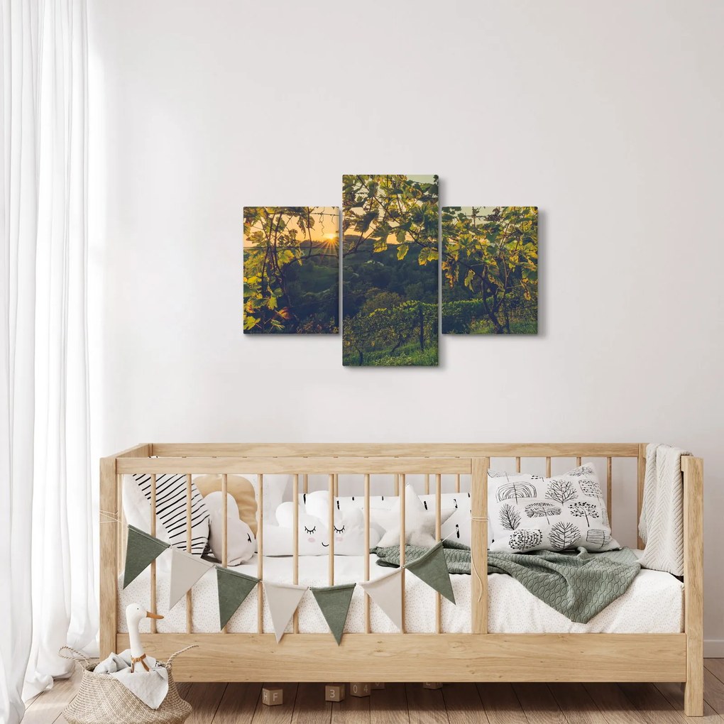 Obraz - Vinice (90x60 cm)