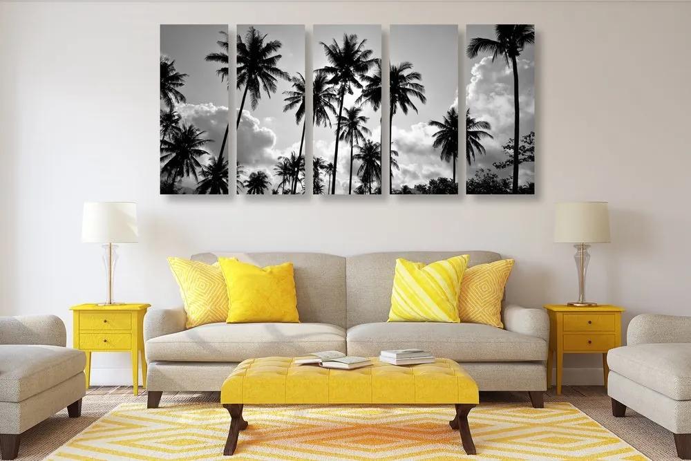 5-dielny obraz kokosové palmy na pláži v čiernobielom prevedení - 200x100