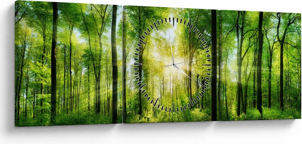Obraz - Svitanie v lese (s hodinami) (90x30 cm)