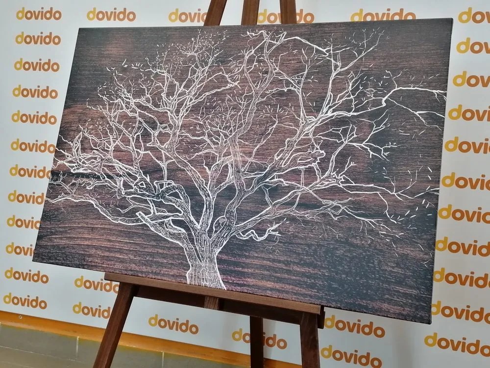 Obraz koruna stromu na drevenom podklade - 120x80
