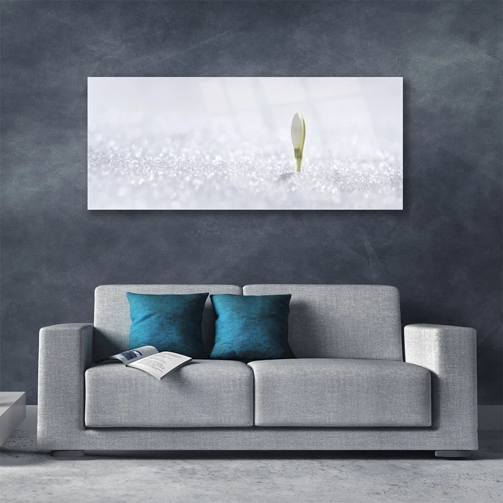Obraz plexi Snežienka sneh zima 125x50 cm