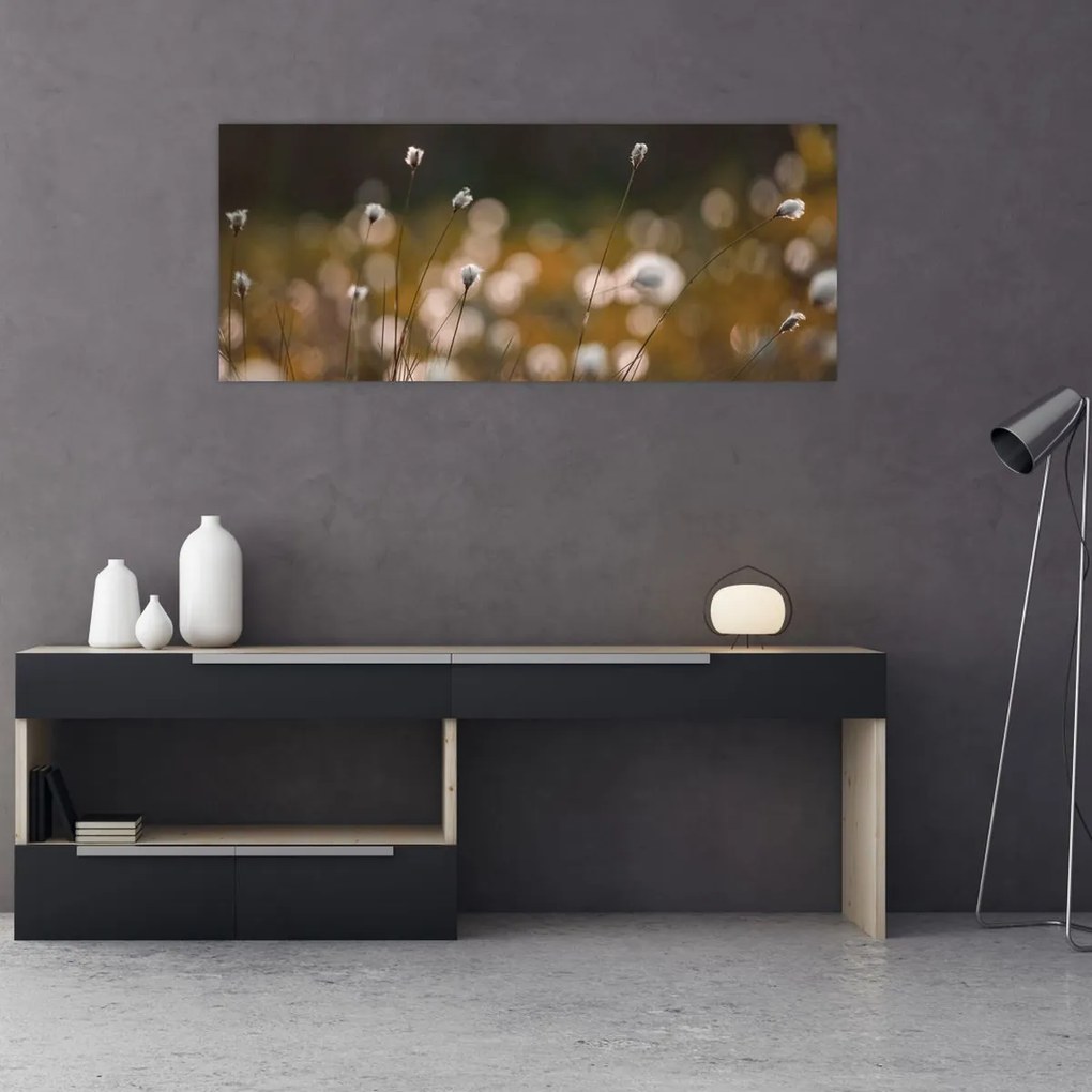 Obraz - Lúka s cottongrass N⁰2 (120x50 cm)