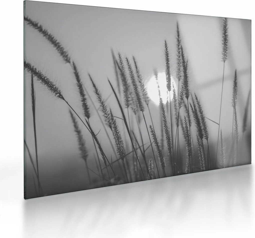 Sklenený obraz - Lúka pri západe slnka (70x50 cm)