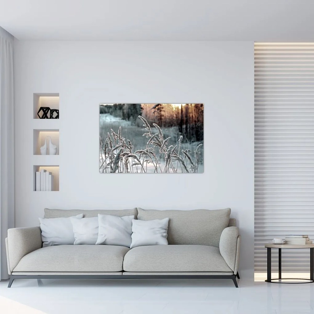 Obraz - Zamrznutá lúka (90x60 cm)