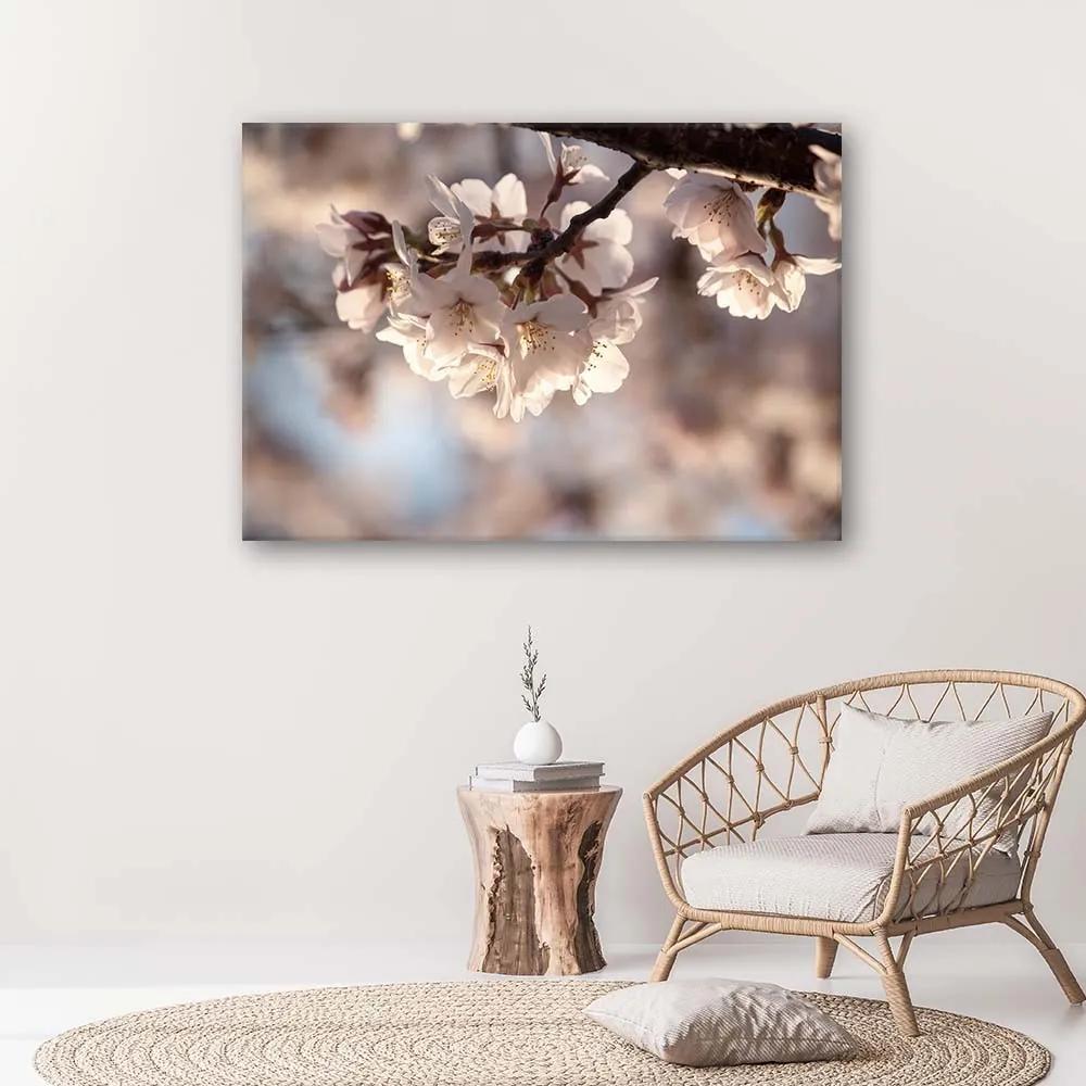 Gario Obraz na plátne Čerešňový kvet Rozmery: 60 x 40 cm