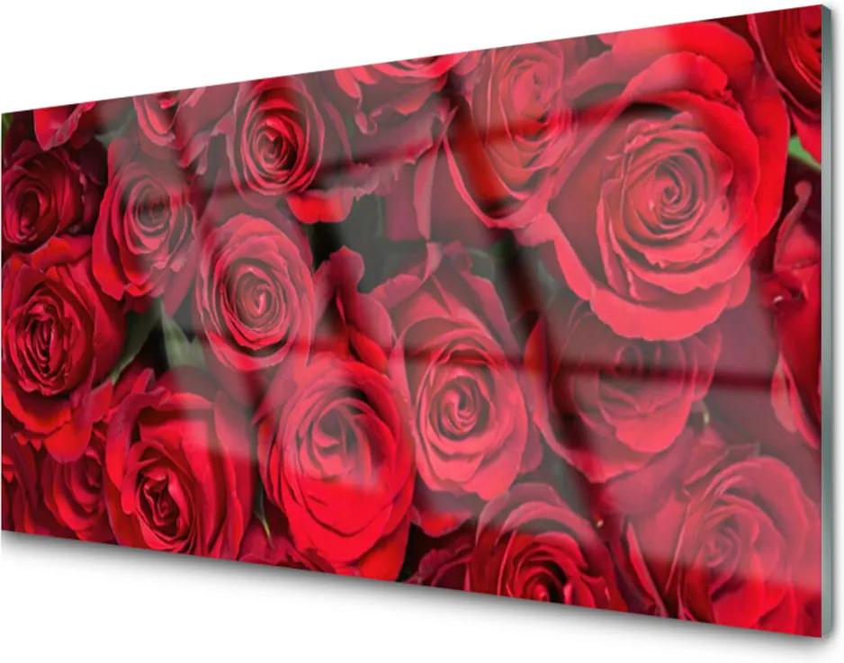 Skleněný obraz Červené růže květiny příroda