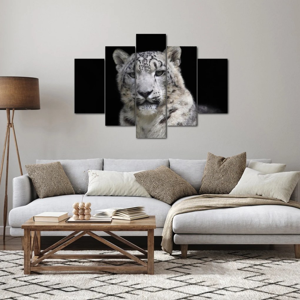 Obraz - Leopard snežný (150x105 cm)