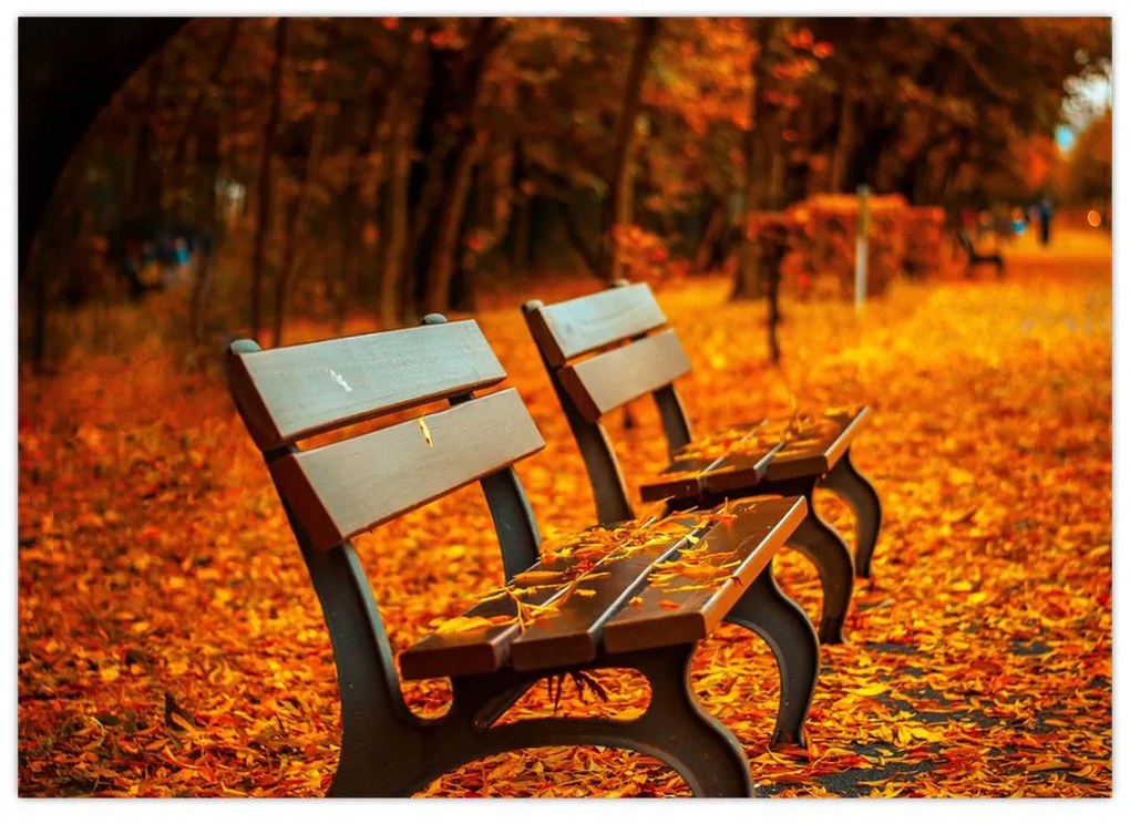 Sklenený obraz lavičky v jeseni (70x50 cm)