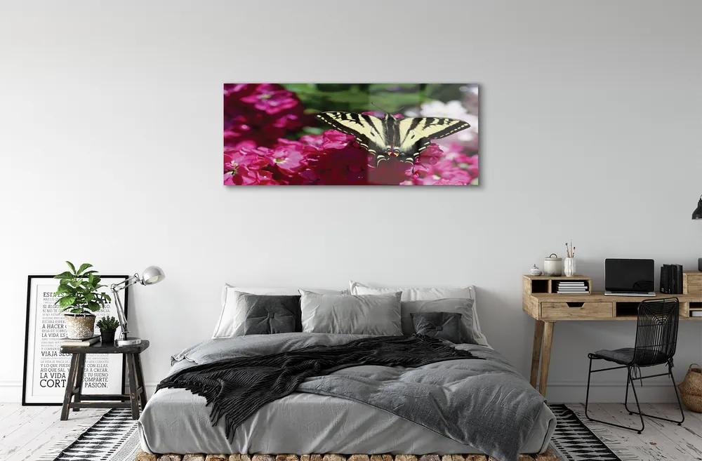 Obraz na akrylátovom skle Kvety motýľ 120x60 cm